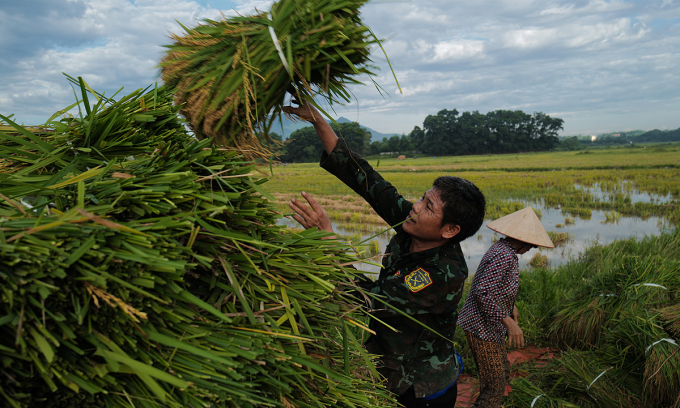 Supreme Rice Announce $20 Million Expansion In Crowley