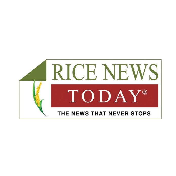 Rice News in the USA: Trends and Updates