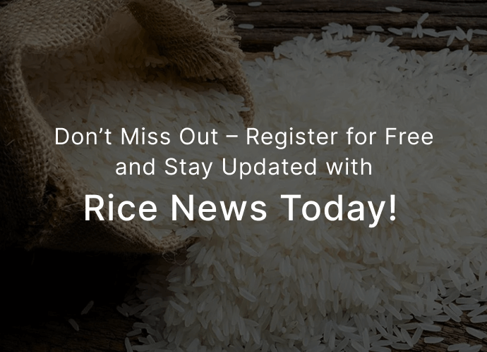 Rice News Today