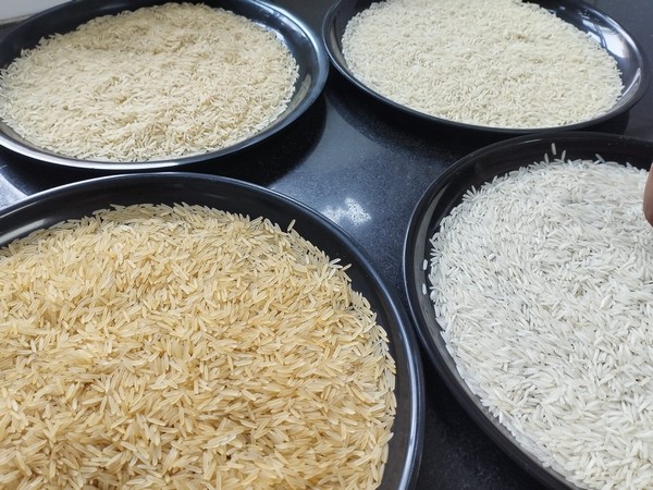 Bangladesh govt to import another 50,000 tonnes of rice from India