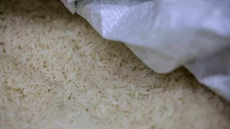 Pakistan’s Rice Exports Remain Stable Despite India’s ‘Cheap’ Alternative