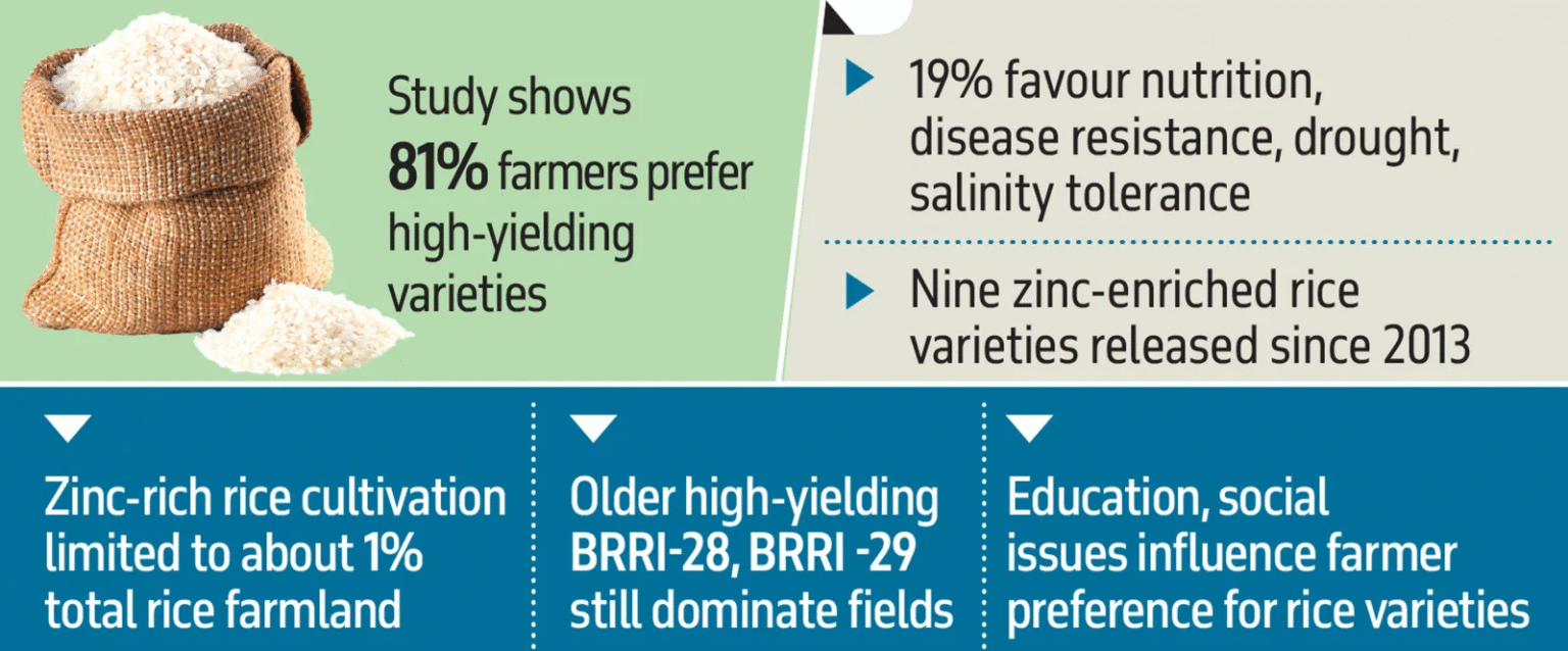 Oil Yield From Rice Nutrition-rich rice struggles as farmers chase higher yields