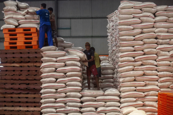 Indonesia Rice Reserves Hit Record 4.3 Million Tons