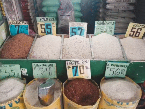 How much does rice cost now in your local market?