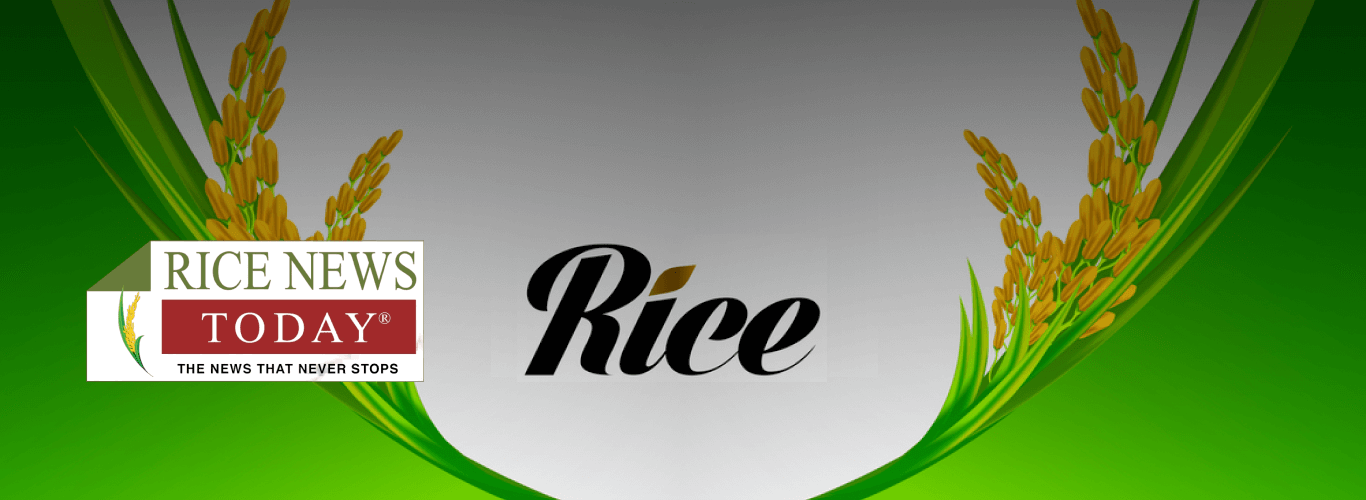 Rice Banner Image 1